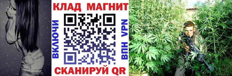 Купить закладку Кокаин  ТГК  МЕФ  Бутират  Бошки Шишки  Гашиш  Alpha-PVP  Северо-Курильск