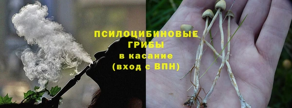 ГАЛЛЮЦИНОГЕННЫЕ ГРИБЫ Нея