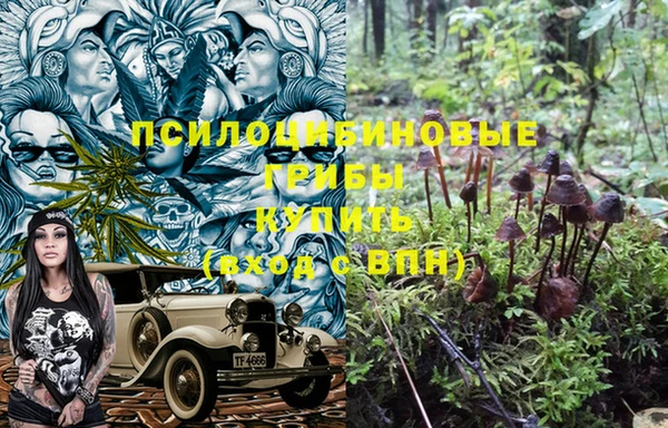ГАЛЛЮЦИНОГЕННЫЕ ГРИБЫ Нея
