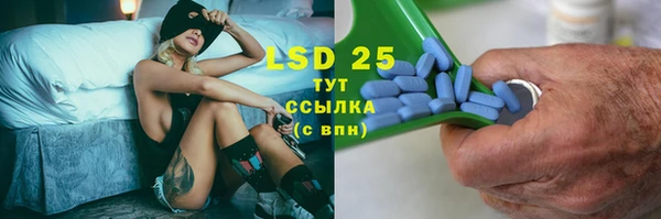 ГАЛЛЮЦИНОГЕННЫЕ ГРИБЫ Нея