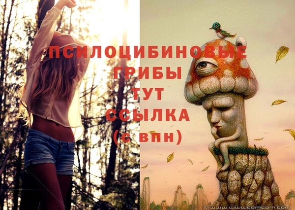 ГАЛЛЮЦИНОГЕННЫЕ ГРИБЫ Нея
