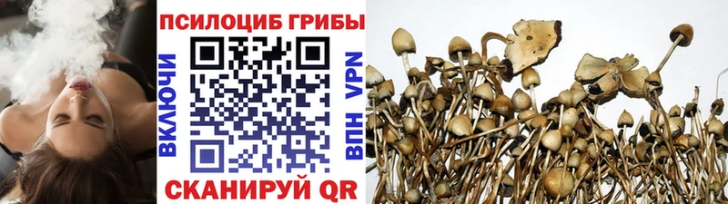 Купить закладки Северо-Курильск Галлюциногенные грибы Cubensis